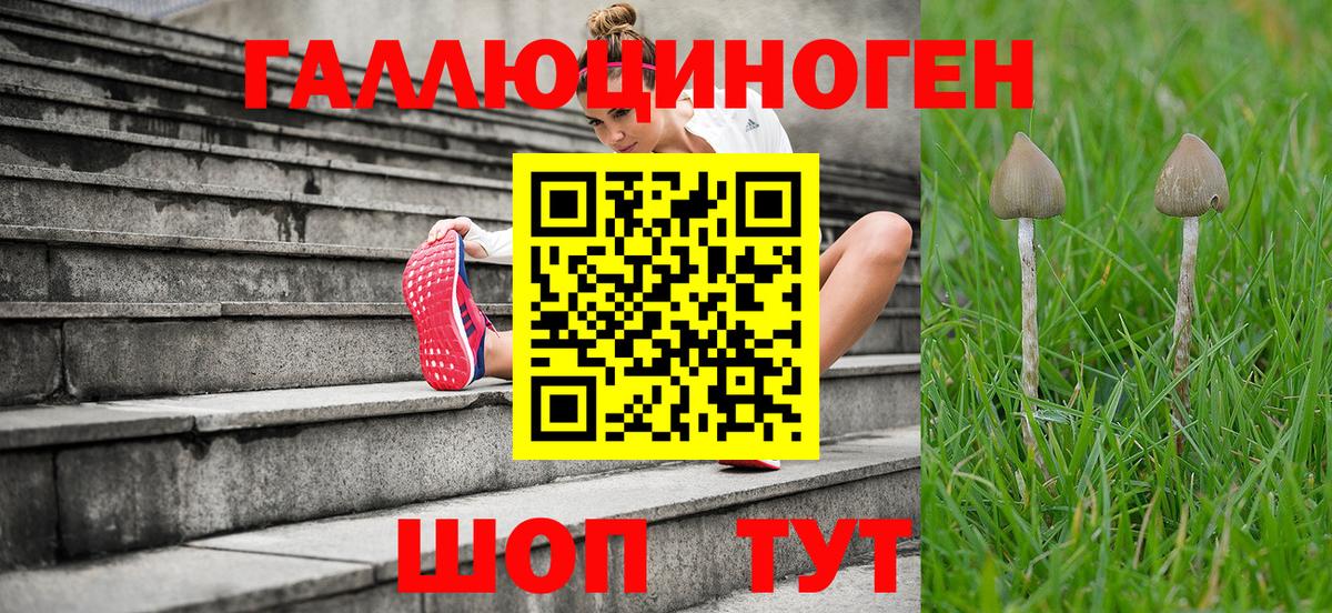 Крымск  Псилоцибиновые грибы ЛСД  Вход с VPN  магазин продажи наркотиков  Псилоцибиновые грибы Psilocybe 