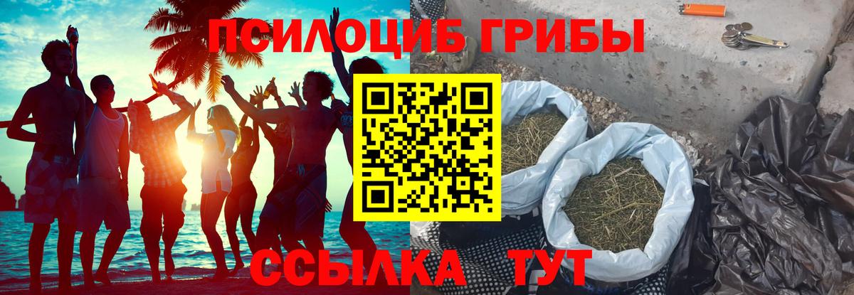 Галлюциногенные грибы Cubensis Крымск